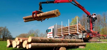 Бесплатная выгрузка дров